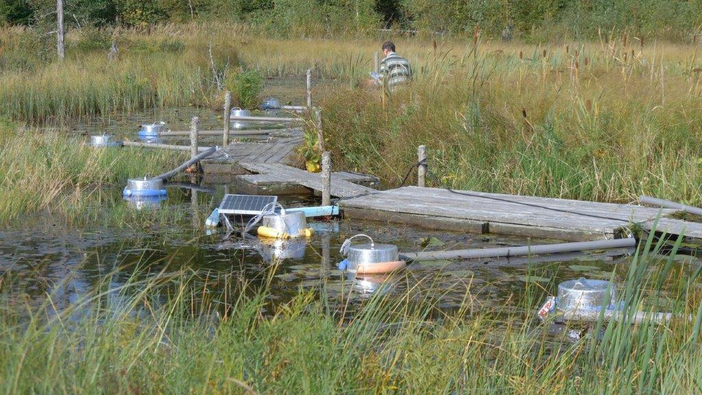 A photo of a floating dock extending along a strip of water winding between vegetation on the shore of a lake. Extending off the dock are silver floating chambers used to capture greenhouse gas emissions from the lake. 