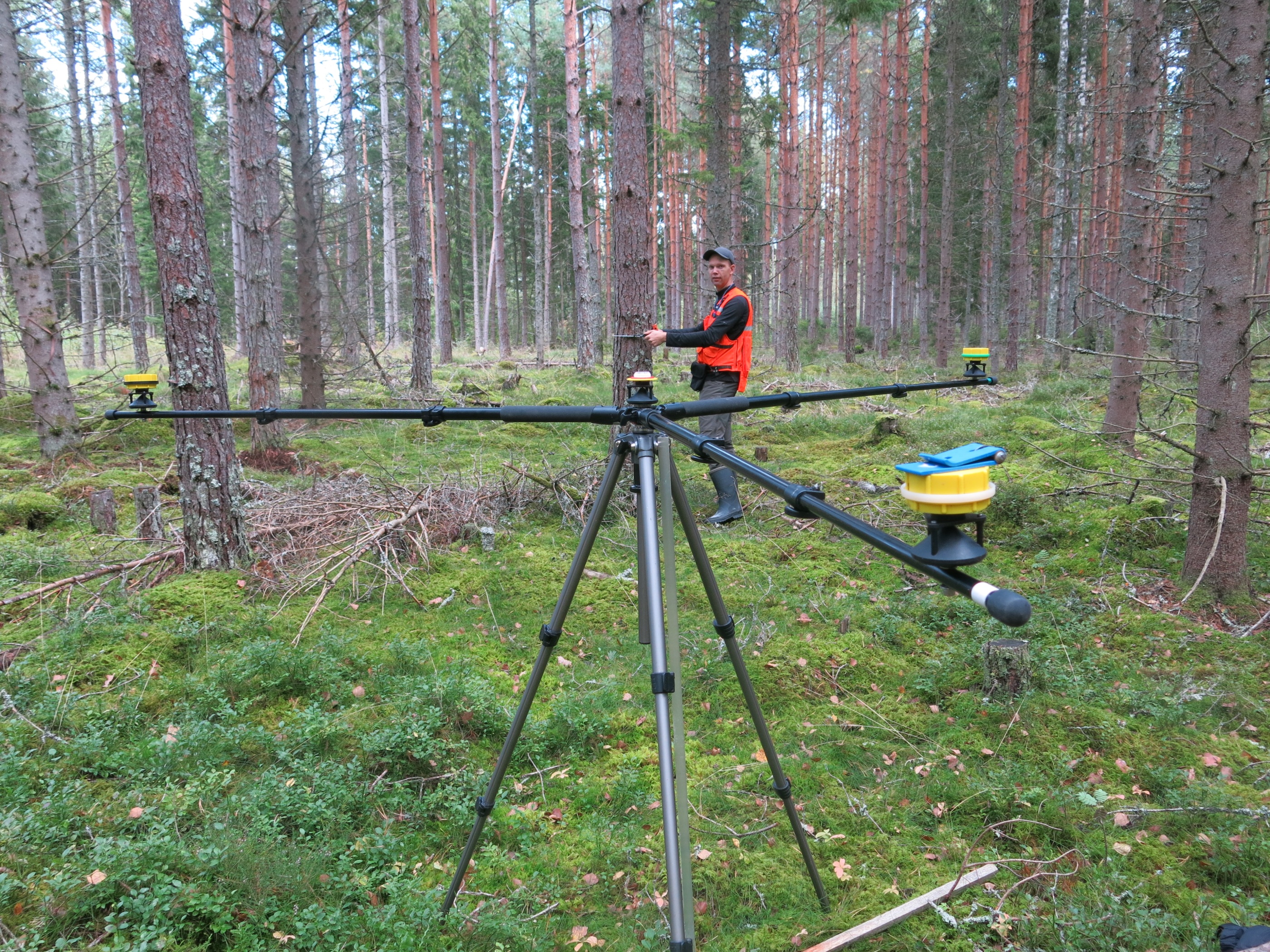 E. Kristensen inventerar en av 234 cirkelprovytor som används som referensyta vid laserscanning. Varje inmätt träd koordinatsätts för ökad precision när ytan används för att kalibrera laserdata.