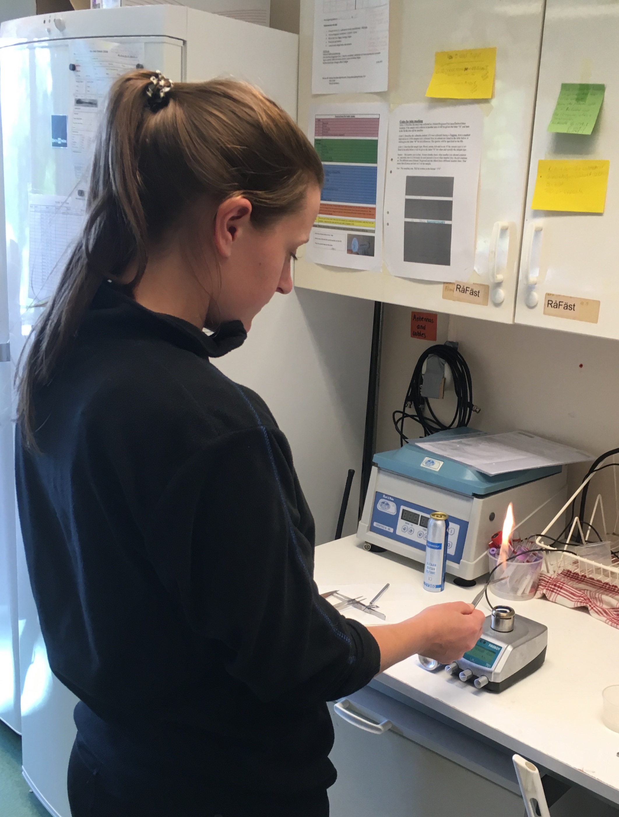 Vid dissekering av djurkroppar där vävnadsprover skall användas för vidare analys avseende t.ex. sjukdomar behöver verktygen ibland steriliseras. Fotograf: Gunnar Jansson.