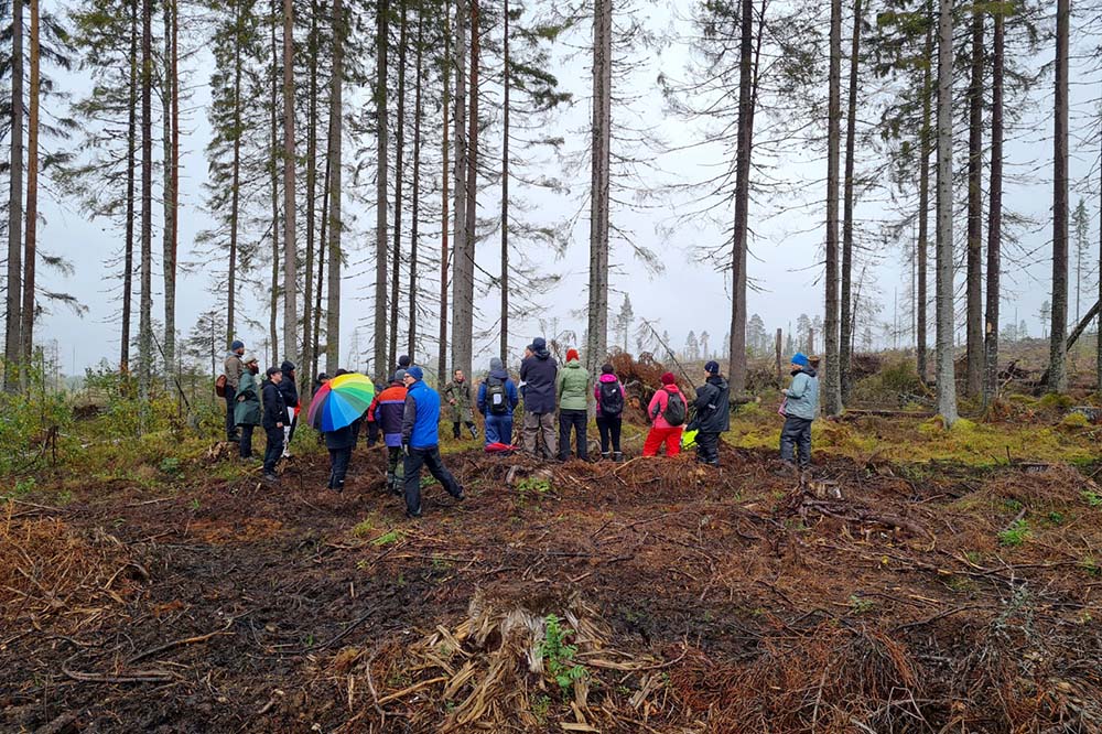 The Krycklan Symposium started at Trollberget Experimental Area; here a presentation about riparian buffer management is being given. Photo: Blaize Denfeld.