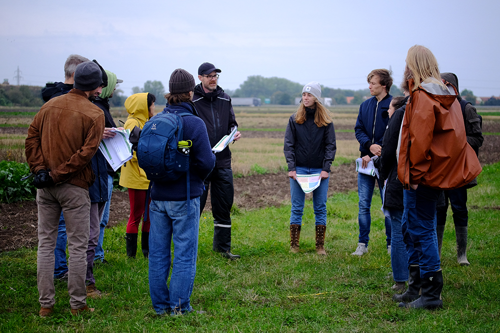 Agroecology students at a field walk at Lönnstorp Research Station in late September. Photo: Marie-Claire Feller.