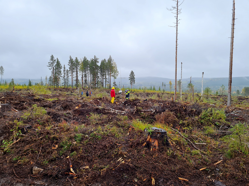 Carbon dynamics and wetland restoration is among the topics focused on at Trollberget experimental area, part of Svartberget Research Station. Photo: Blaize Denfeld.