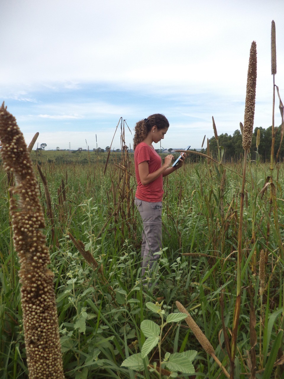 Field dat being collected by Julianne Oliveira.