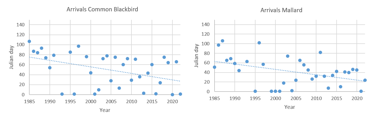 Date (Julian day) of the first observation per year (since 1985) of the Mallard (Anas platyrhynchos) and the Common blackbird (Turdus merula) within Grimsö Wildlife Research Area. The seasonal movements of these species are rather related to local weather conditions than actual migrations, with an apparent trend of earlier arrivals to the breeding grounds in later years. Points along the x-axis (i.e. Julian day = 0) indicate the bird species stayed in the area till the next year.