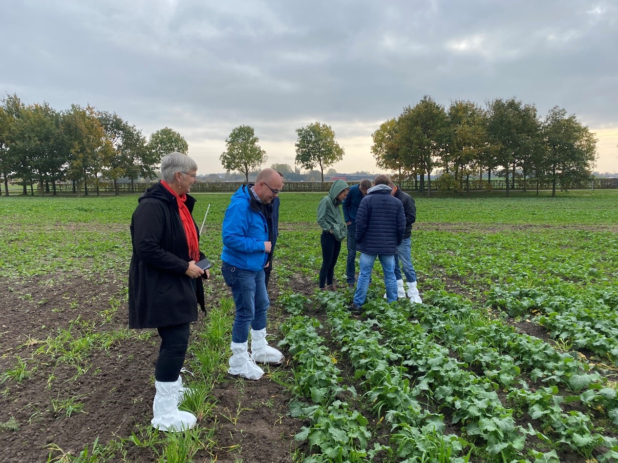 Multi-actor visit to strip cropping field on 27 October 2022. Photo: Raj Chongtham