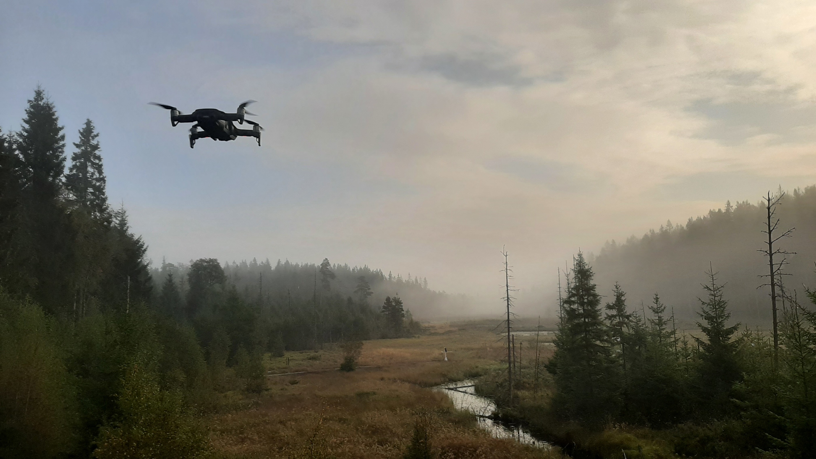 As seen here at Skogaryd Research Station, water is an integral part of the forest-wetland landscape. Photo: Roberto Lo Monaco