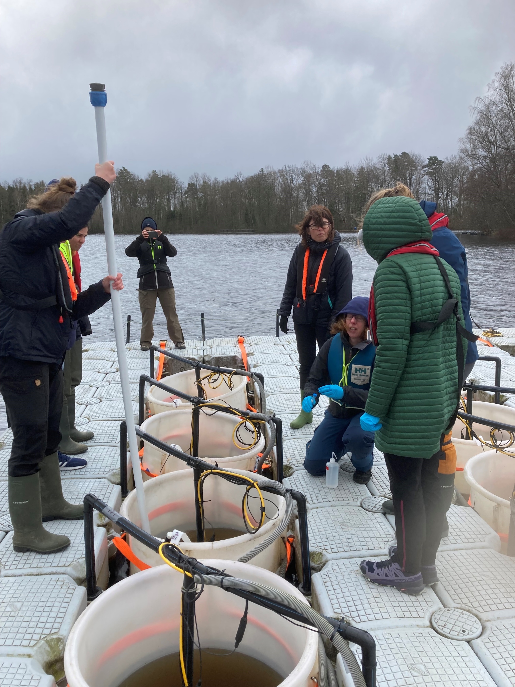 Silke Langenheder, SITES AquaNet coordinator, shows how to add the additions to the mesocosms (Photo: Juha Rankinen)