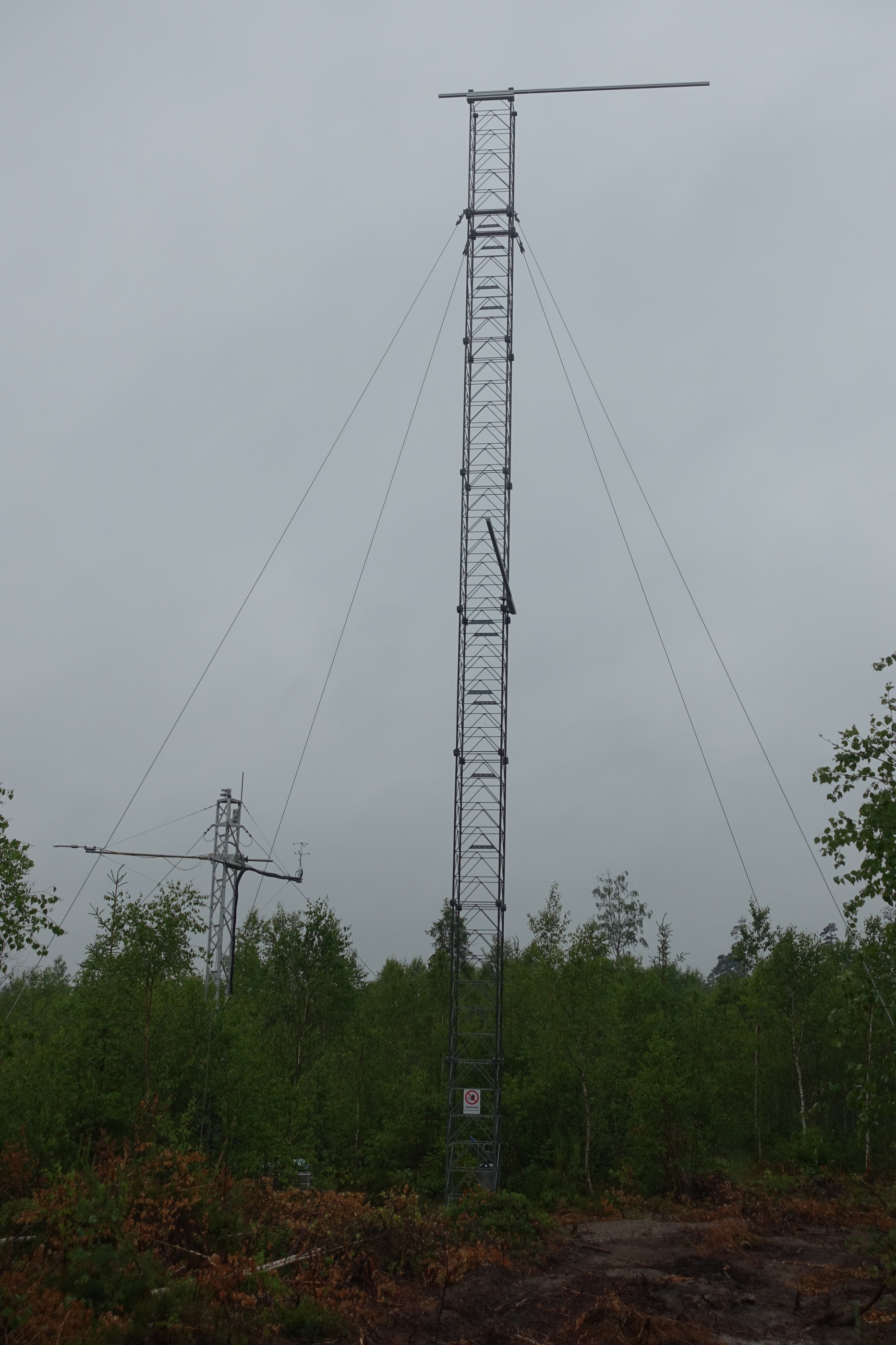 The mast is up (Photo: Anna Danielsson)