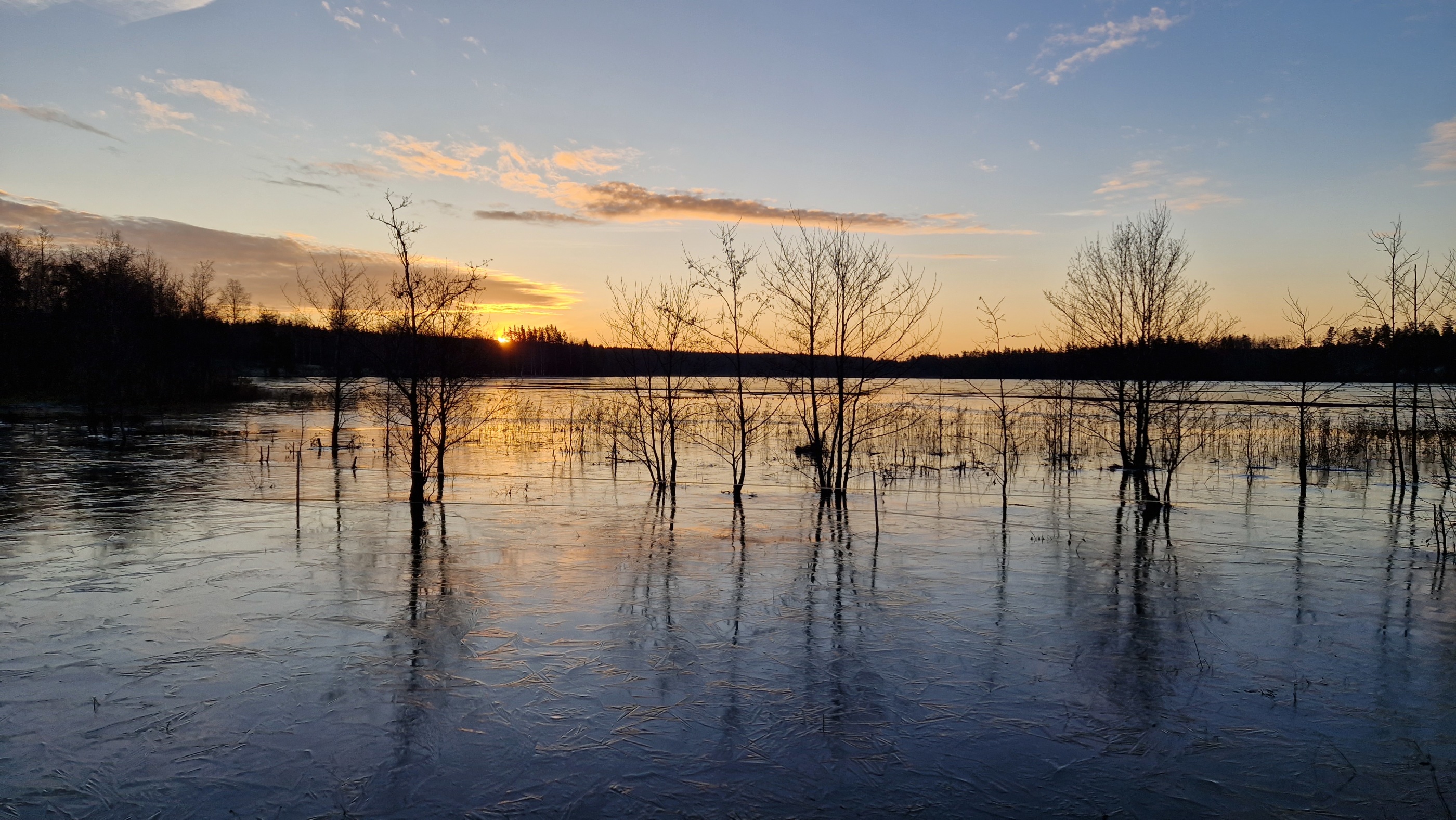 Ice starting to settle on lakes in Örebro county, Lindesberg municipality (Photo: Holger Villwock)