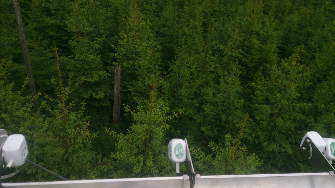 Synfältet för multspektralgivarna som riktas 45° nedåt mot granungskogen. Foto av Ola Langvall