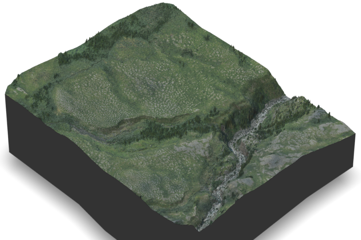 Figure 3: 3D RGB Drape of Miellejohka UAV flight area, Abisko Scientific Research Station.