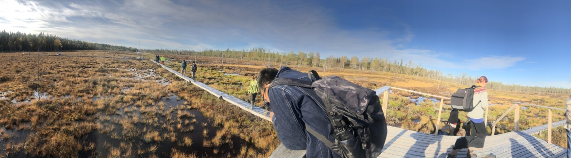 Following the Symposium an excursion, with 40 participants, took place at Svartberget Research Station in the Krycklan catchment . Photo:  Shokoufeh Salimi