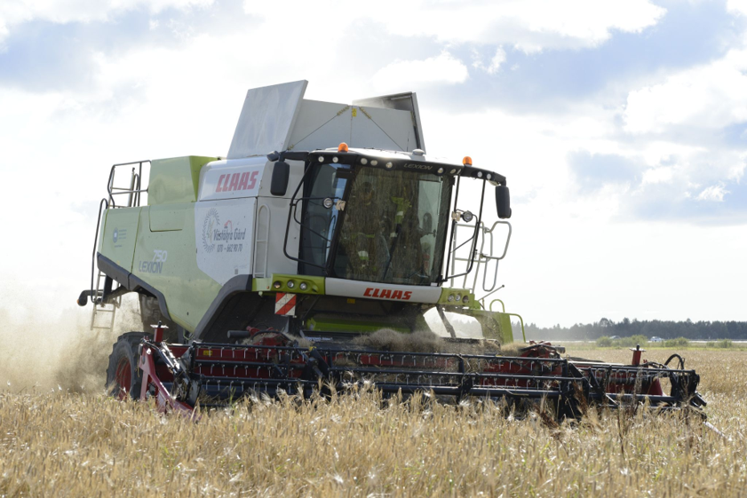 Barley harvest at Röbäcksdalen 2021. Photo by Reija Danielsson