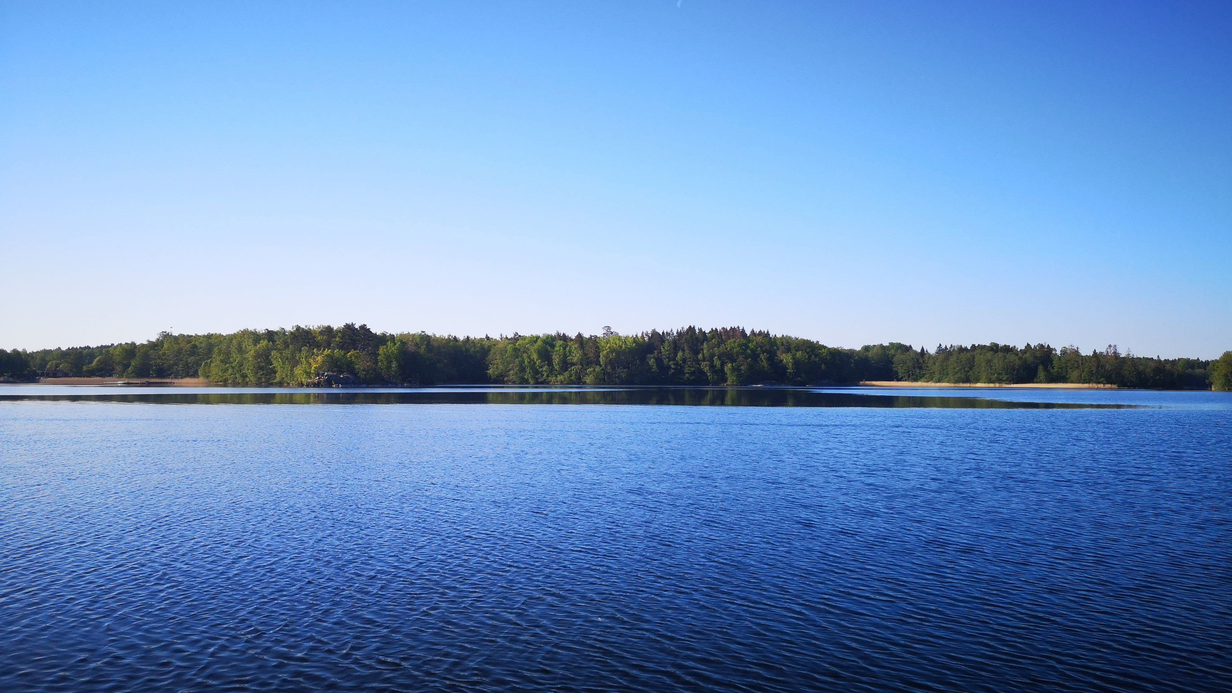 Lake Erken, June 2021: Surfactants are ubiquitous at the air-water interface, but when they accumulate in high concentrations (> 1 mg L-1) they can be seen with the naked eye, as they form natural surface slicks (areas of flat water). Photo by: Philippa Rickard