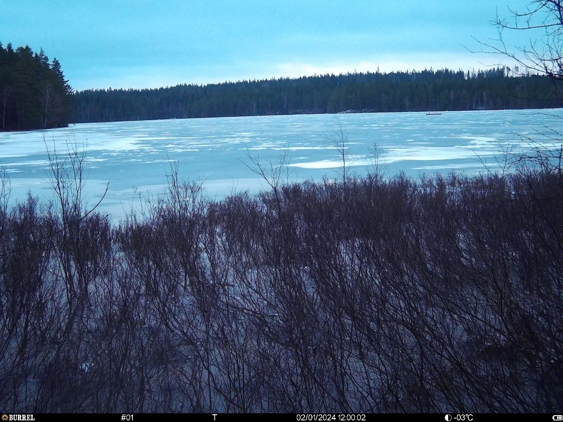 Feresjön ice covered