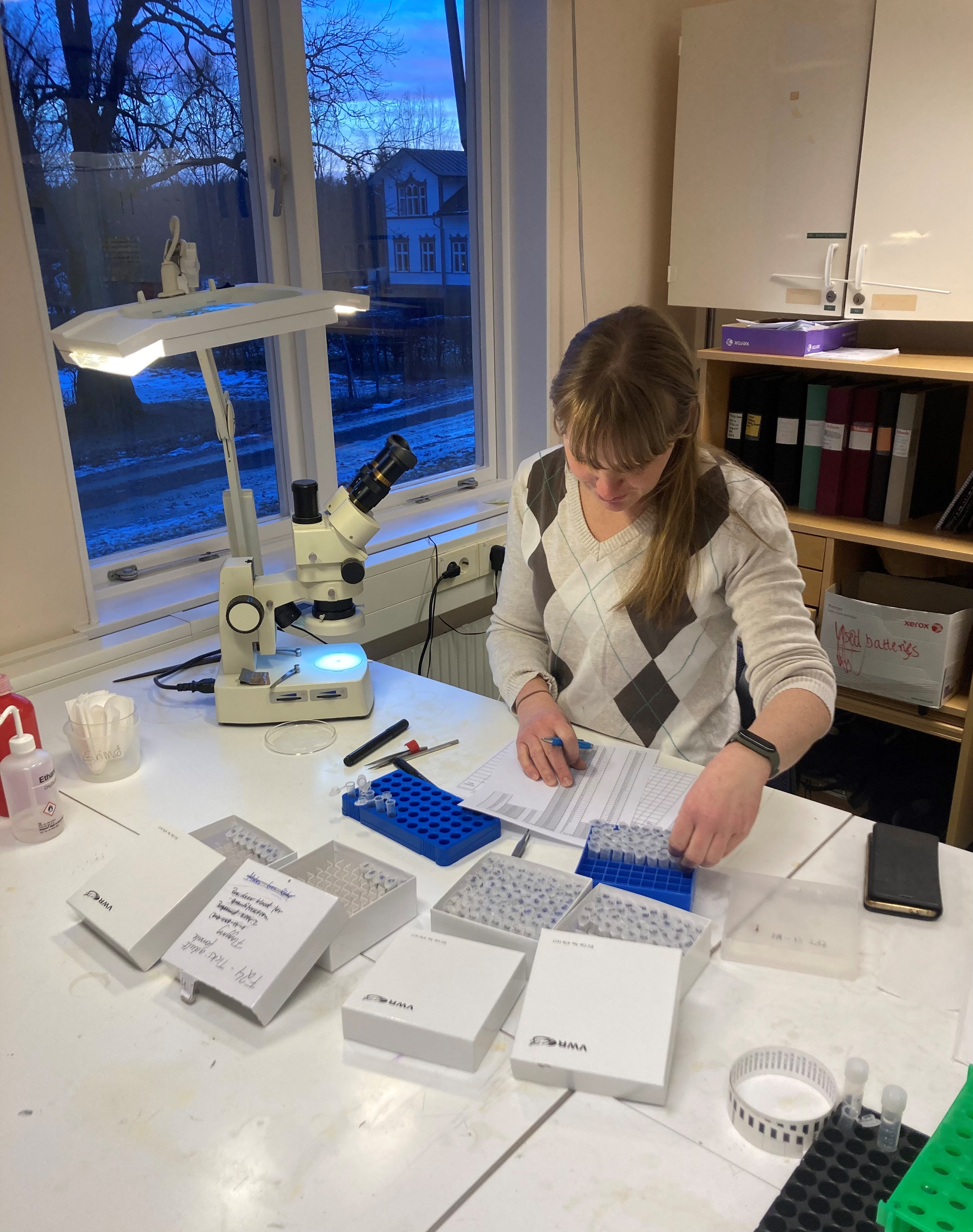 Every season hundreds of ticks are collected and good organization is needed to keep track of all these tiny samples. (Photo: Gunnar Jansson )