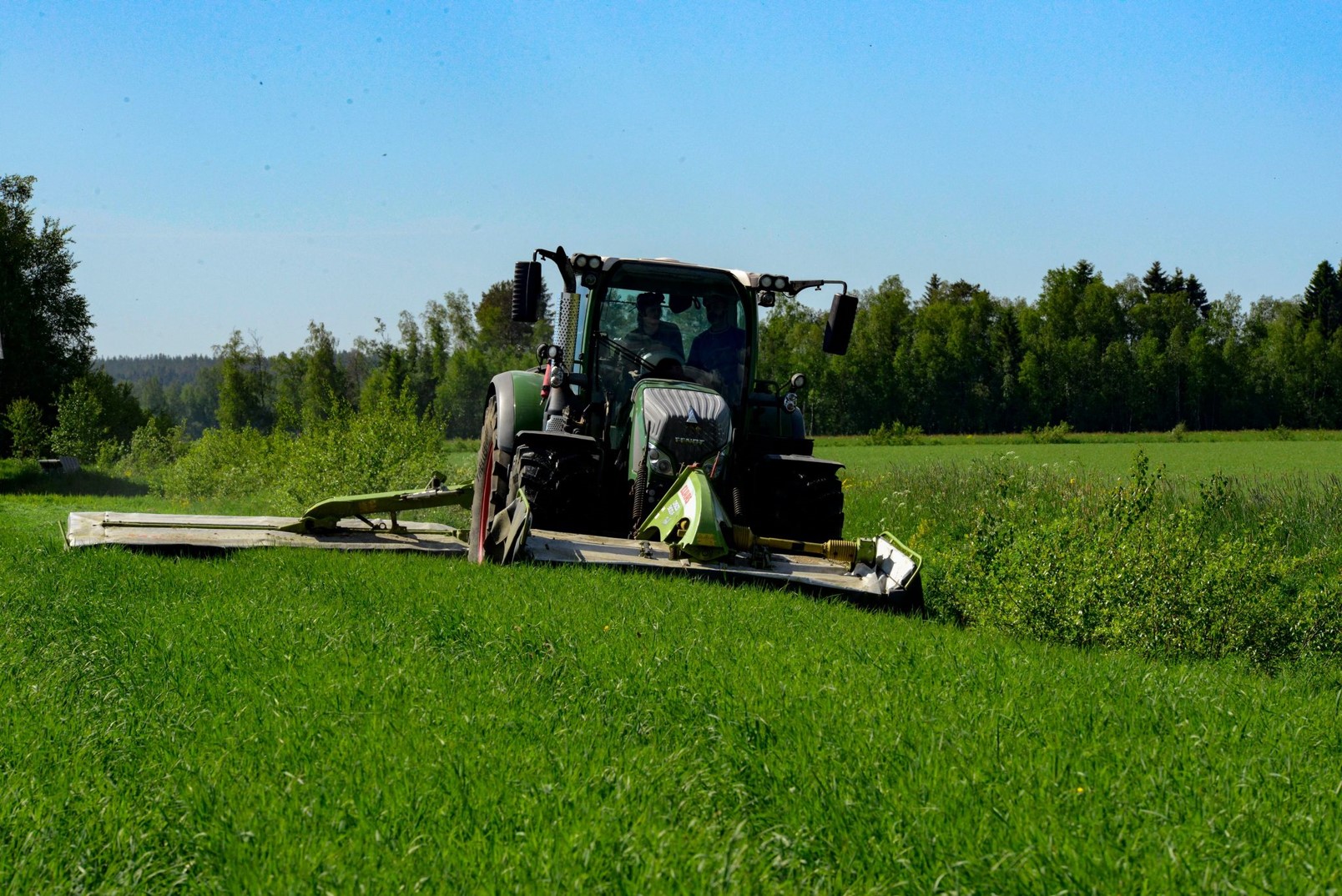 Grass harvest at Röbäcksdalen 2021. Photo by Reija Danielsson