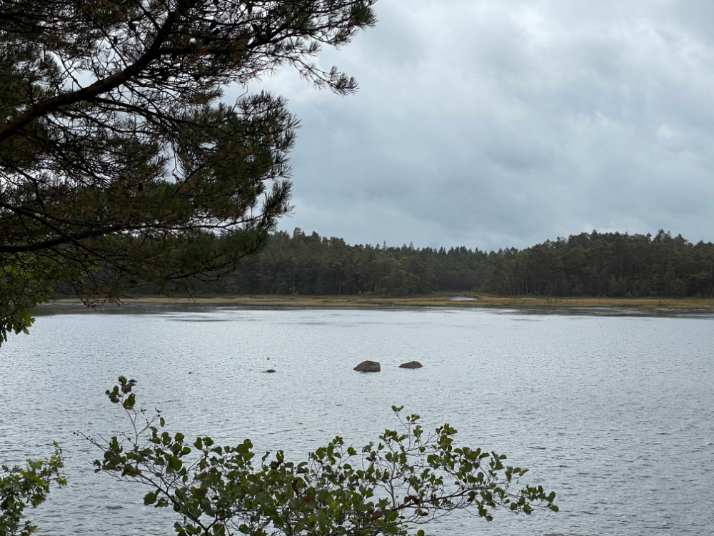 Karfjorden, a southern sub-basin of Lake Bolmen. Photo: Clemens Klante