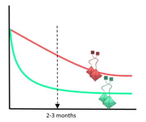 Litter mass loss over time of Rooibos and Green tea (author: Judith Sarnell)