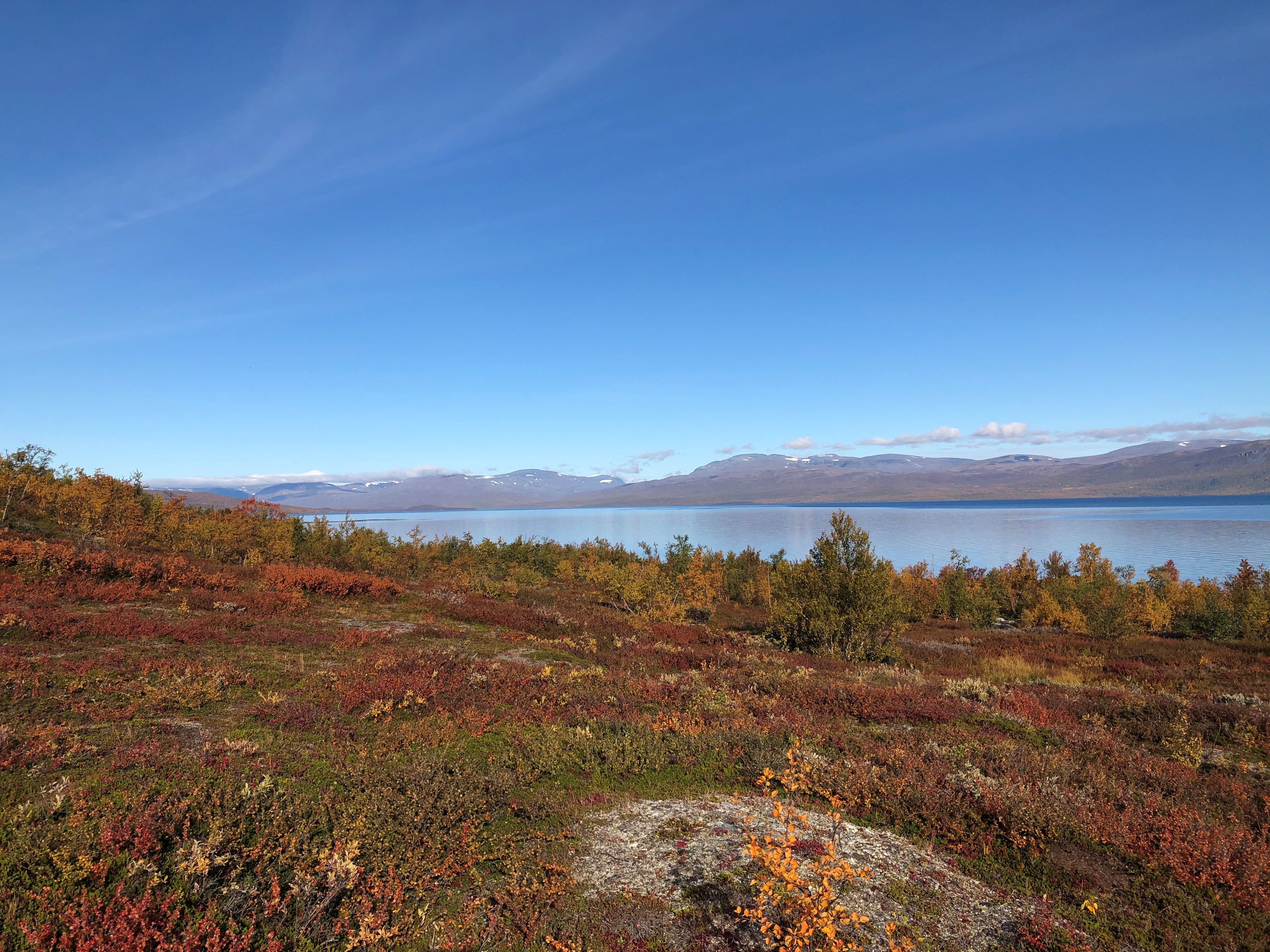 Autumn colours in Abisko! Photographer: Emily Pickering Pedersen