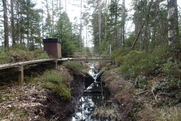 Stream