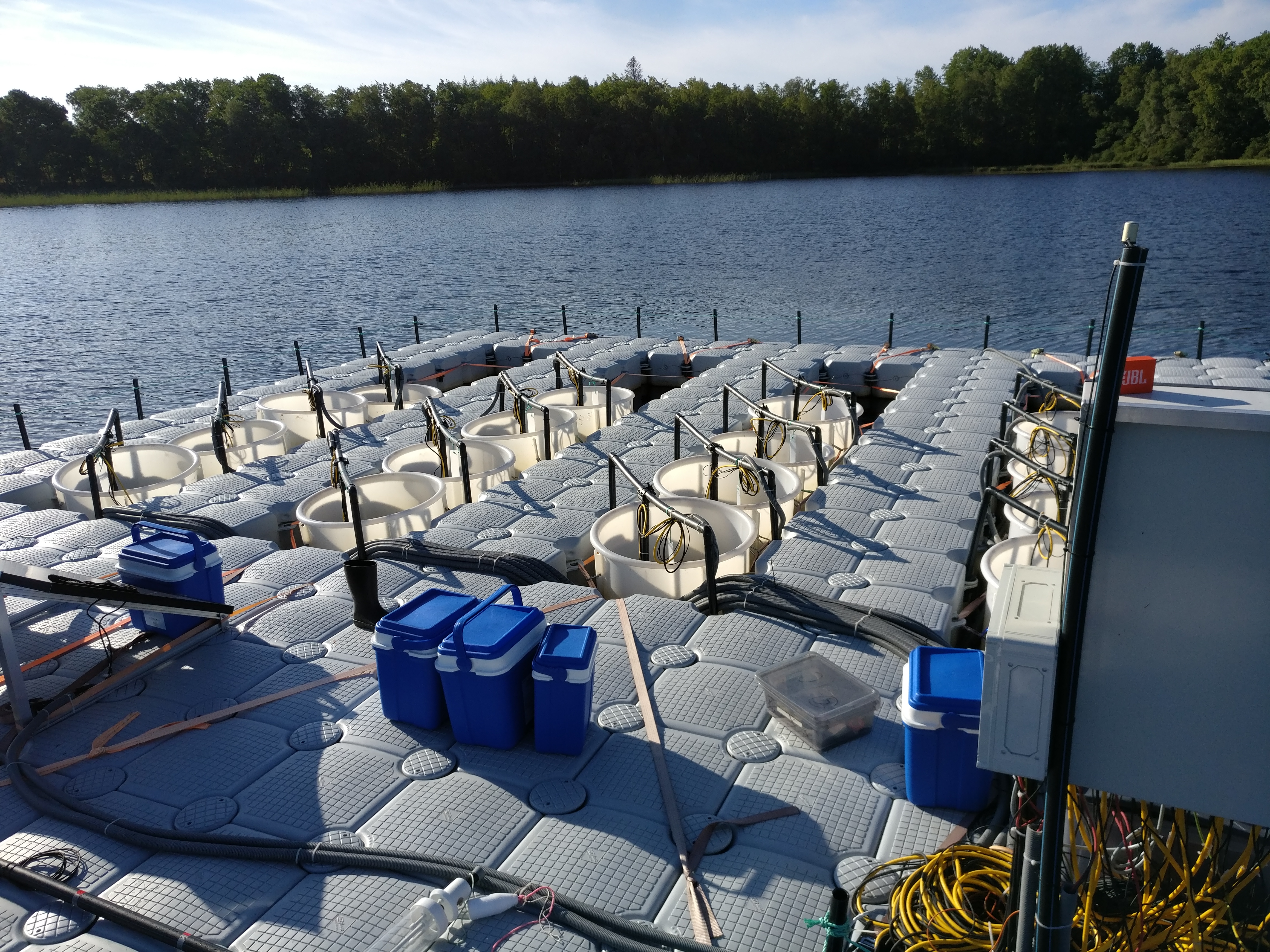 Close up photo of the mesocosms used in Lake Bolmen. Photo by Tatyana Barnes