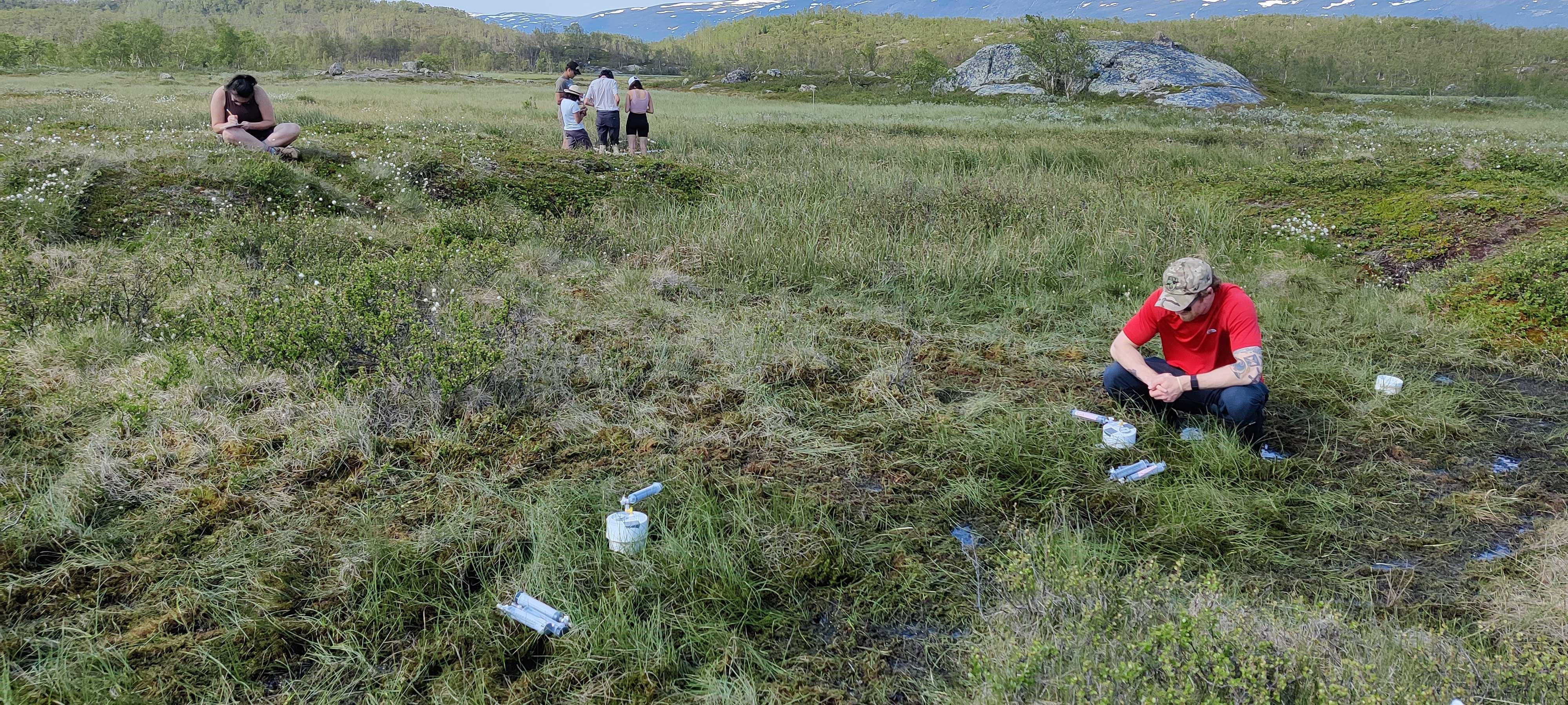 Undergraduate students hard at work in the Stordalen mire, collecting data for ongoing and new research projects, including methane and carbon flux measurements and vegetation quantification. Photo credit: Hannah Holland-Moritz