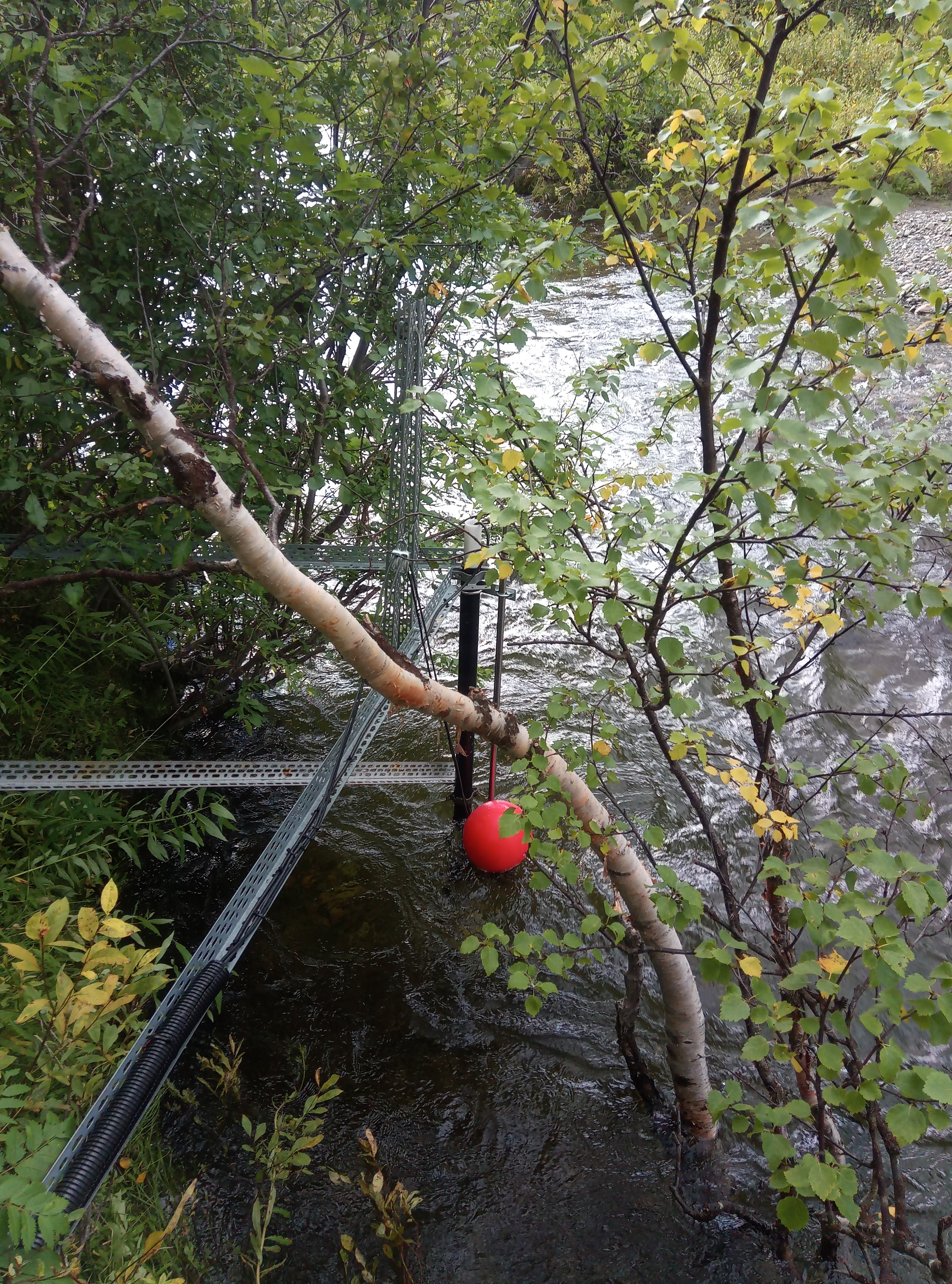 SITES Water: new installation for measuring stream O2 and CO2 concentrations. A buoy and constant force spring ensure that the cable stays tensioned and that the sensor always stays at the same water depth relative to the surface regardless of changes in water level and discharge throughout the year. This set-up also protects the sensor from sudden changes in water pressure. Photo credit: Alexander Meire