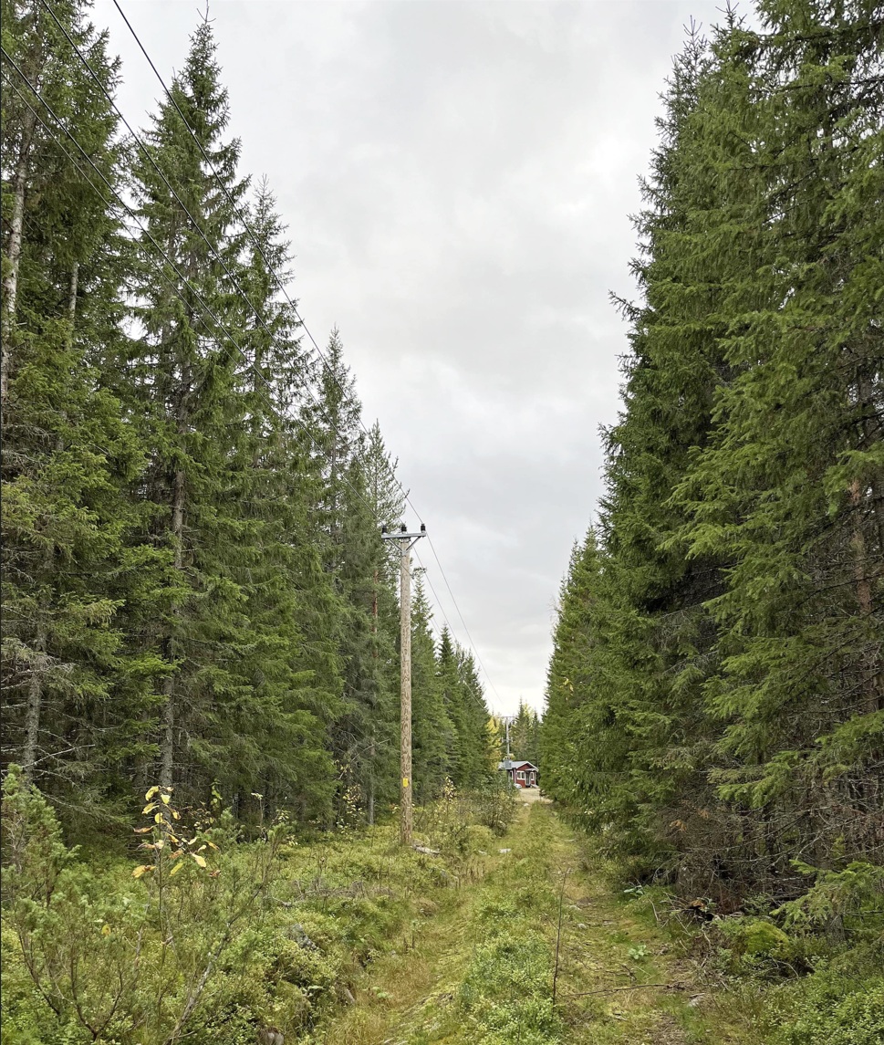 Flikaliden area near Svertberget