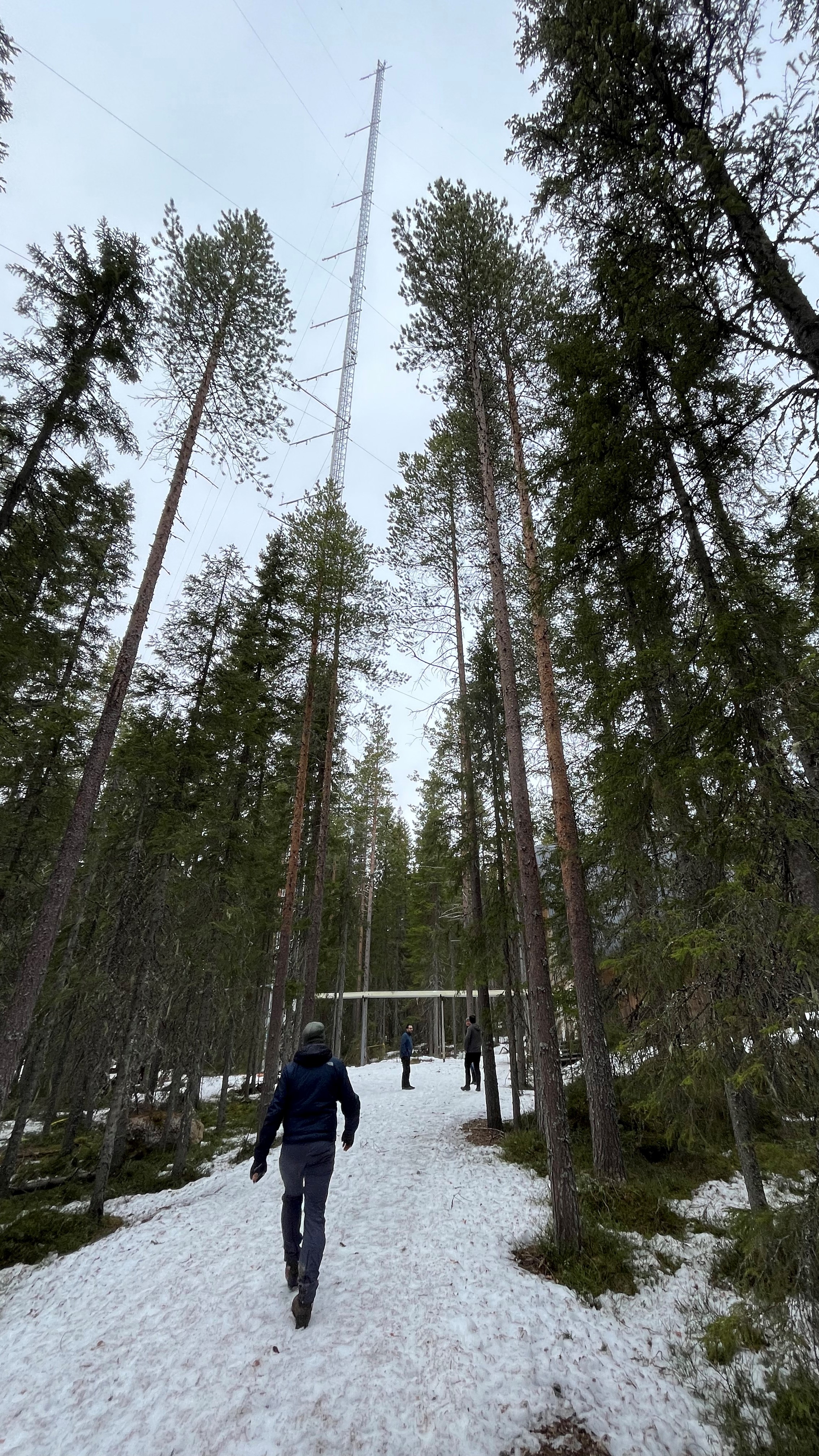 150 m ICOS mast located at Svartberget. Humans for scale. Photo by: Matilda Andersson