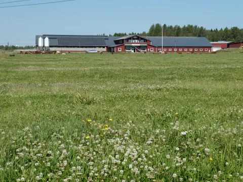 Röbäcksdalen field